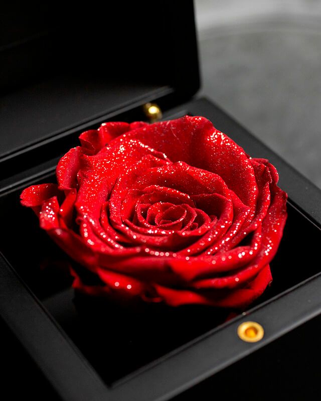 ダイヤモンドローズ(M) | ローズギャラリー銀座 オンラインショップ