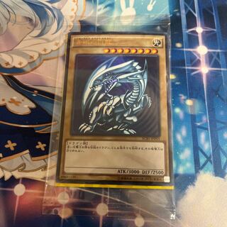 青眼の白龍 scb」の激安通販 | magi