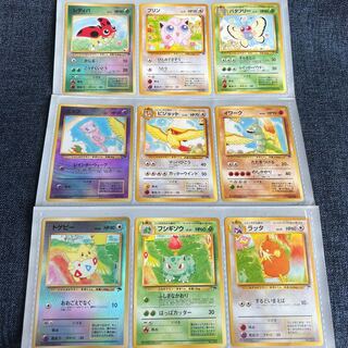 サザンアイランド」の激安通販 | magi