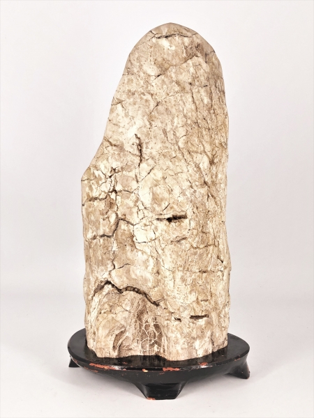 珪化木』 木化石 32×15×10cm 5.4kg 誂え木台付き |サムライ