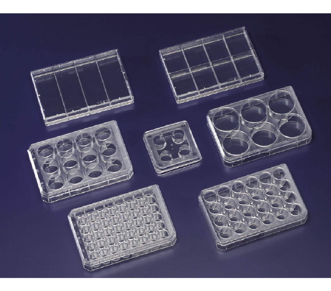 ヌンク マルチディッシュ 24ｳｪﾙ №144530 75入｜総合的理化学