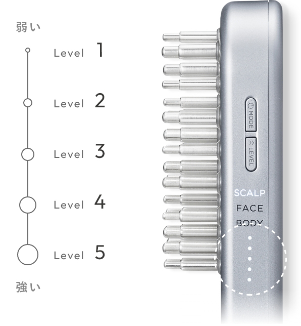 EMSリフトブラシ特設ページ | SALONIA(サロニア)公式サイト
