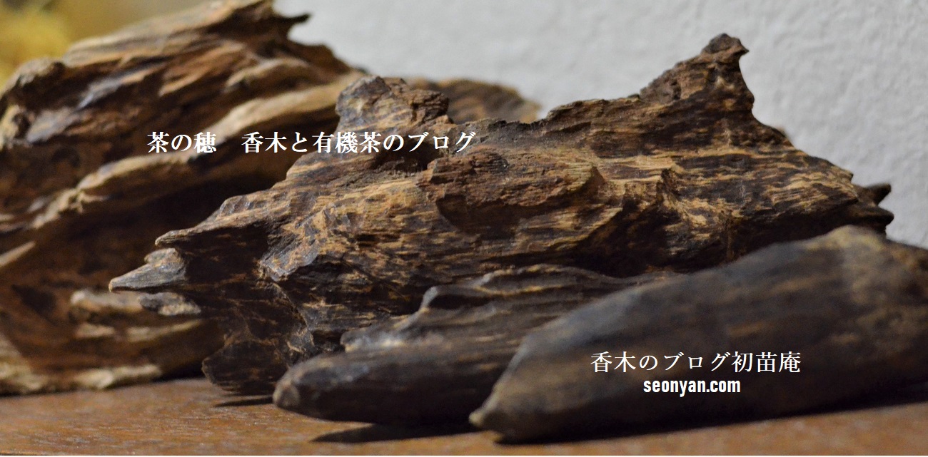 香木はどこにある？種類と見つけ方茶の穂 香木と本気の茶