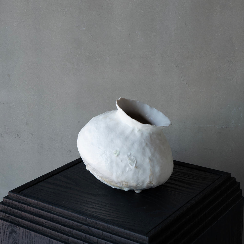 P1023156_1000x.jpg?v=1766554237