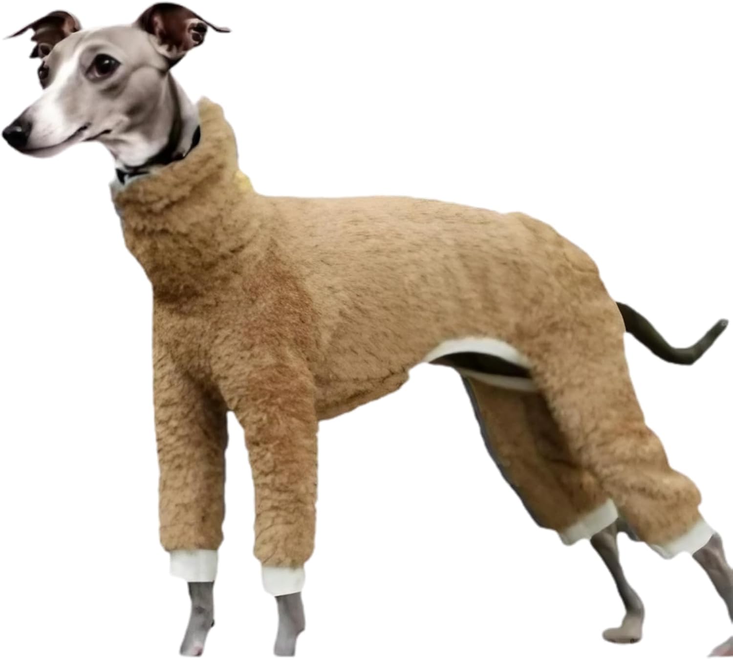 楽天市場】manatom イタグレ 服 おしゃれ イタリアングレーハウンド服