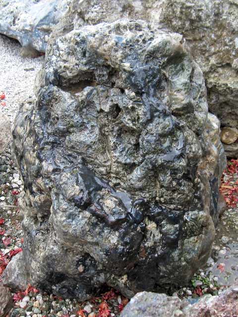 楽天市場】千軒石 庭石 銘石 北海道 景石 自然石 和風 庭園 飾り石