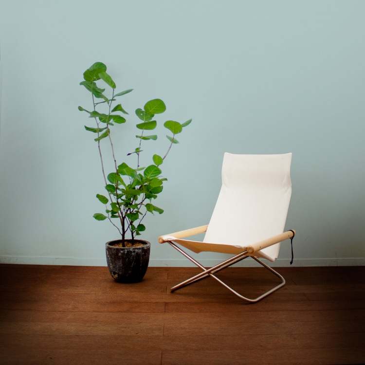 ニーチェア エックス (木部ダークブラウン シートキャメル) | リグナ