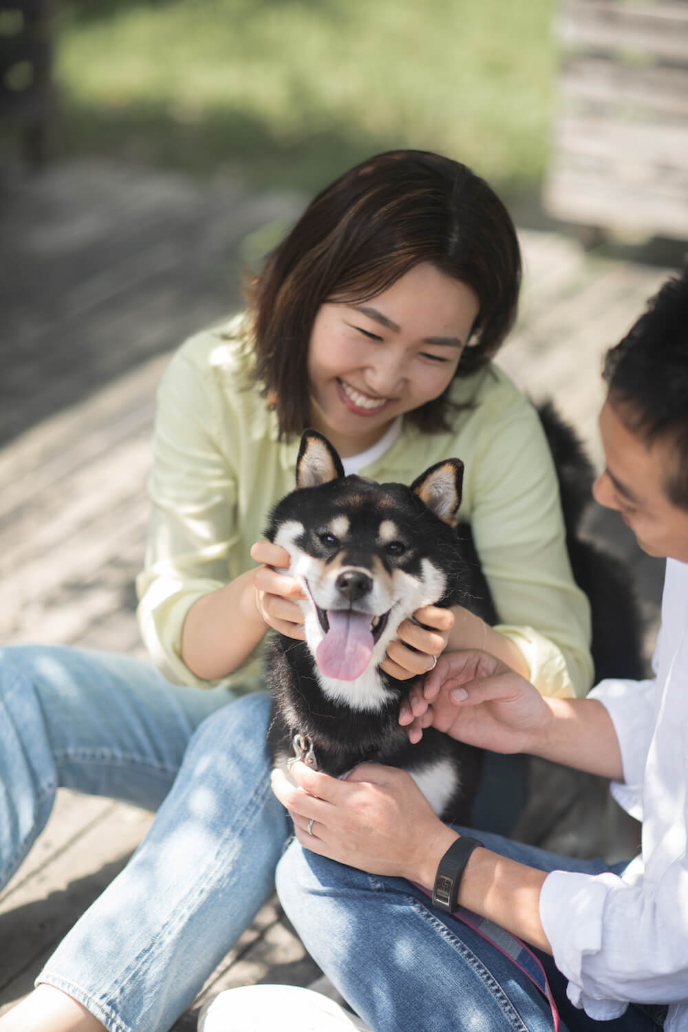 愛しの柴犬の「うちの子記念日」を教えて！ 豪華プレゼント☆フォト