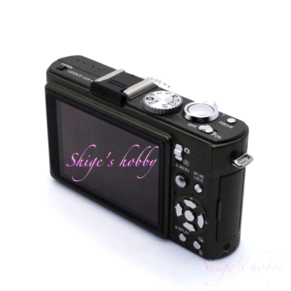 サファリカラー D-LUX 4 (2009・Safari) – Shige's hobby