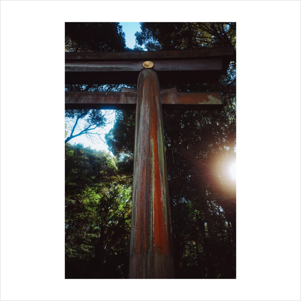 目に見えないものを撮る――上田義彦展で聞いた写真の本質