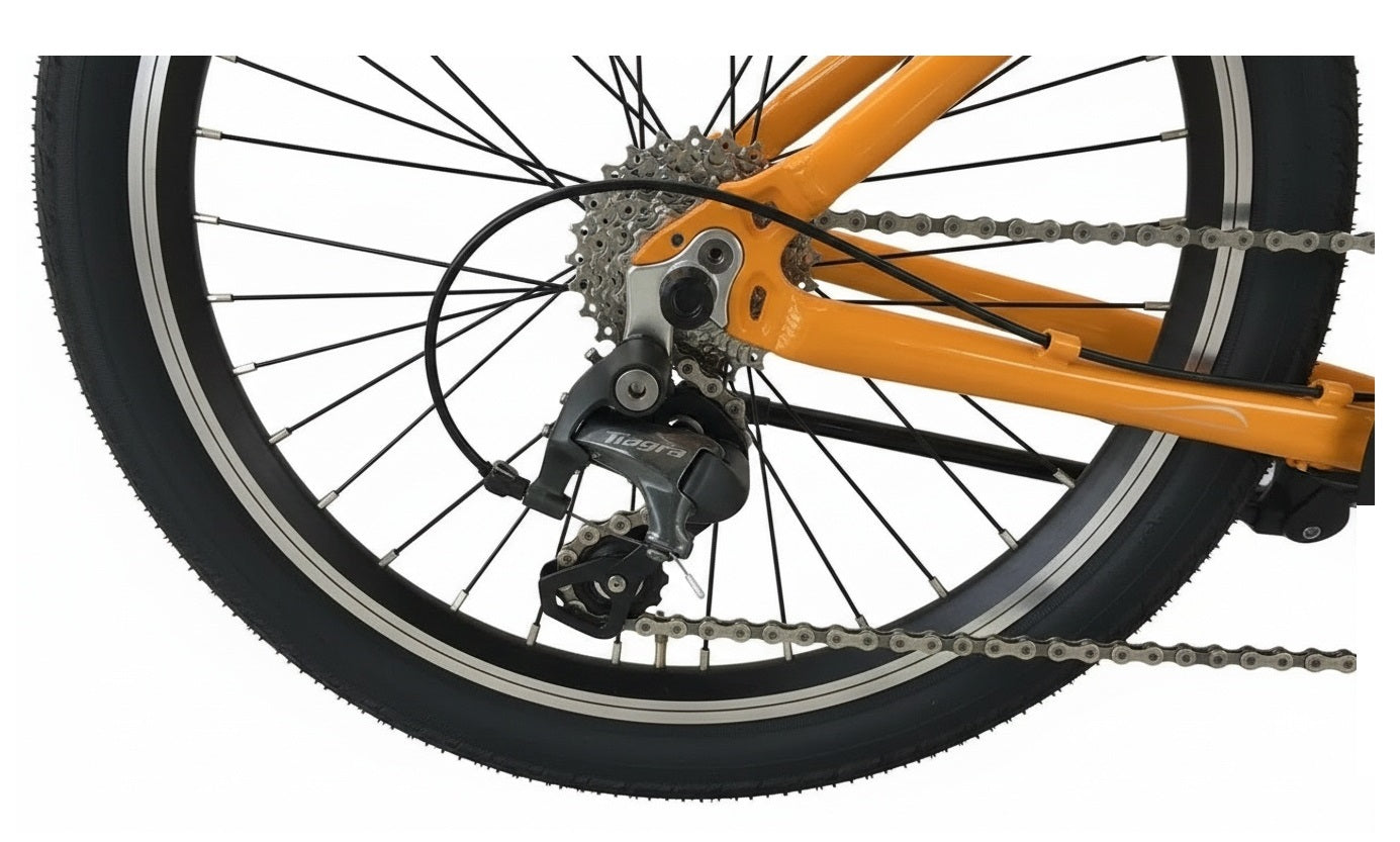 Wonder Pro Lite - SOLOROCK 20