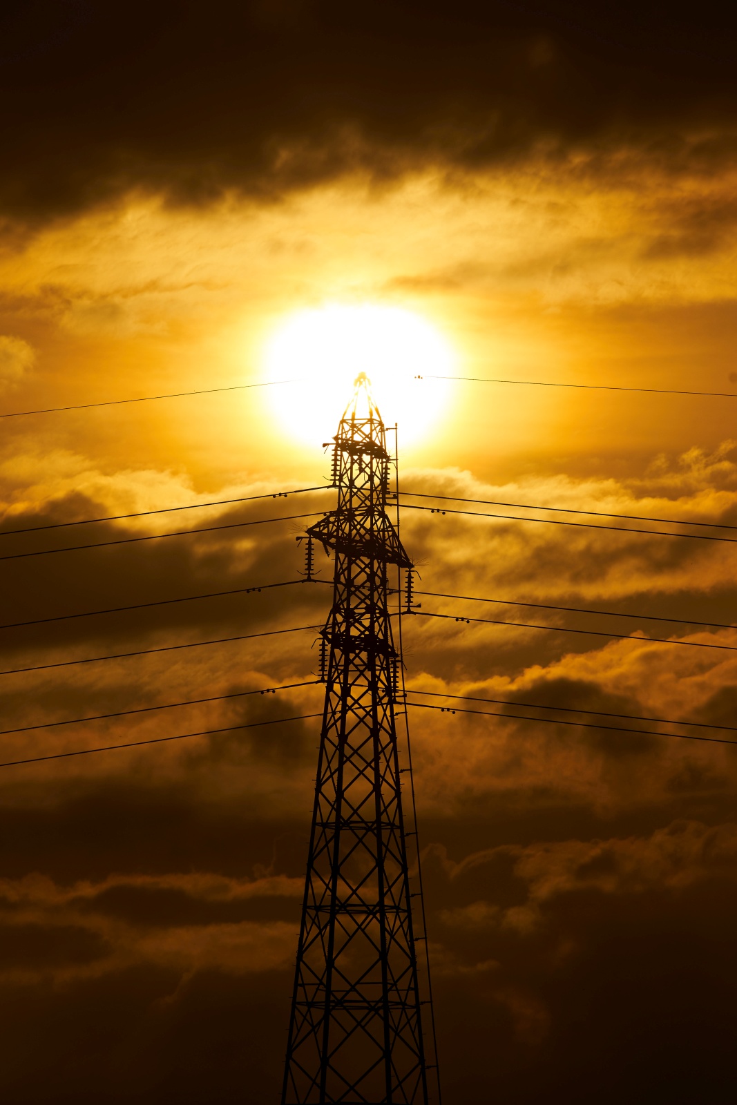 Canon New FD 300mm F4L | PHOTO OLD LENSES