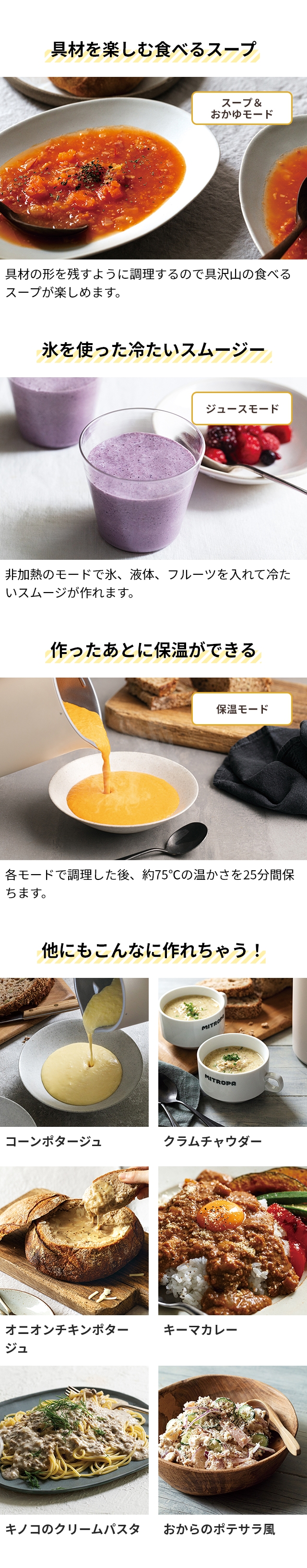 ブレンダー ミキサー レコルト ソイ＆スープブレンダー RSY-1