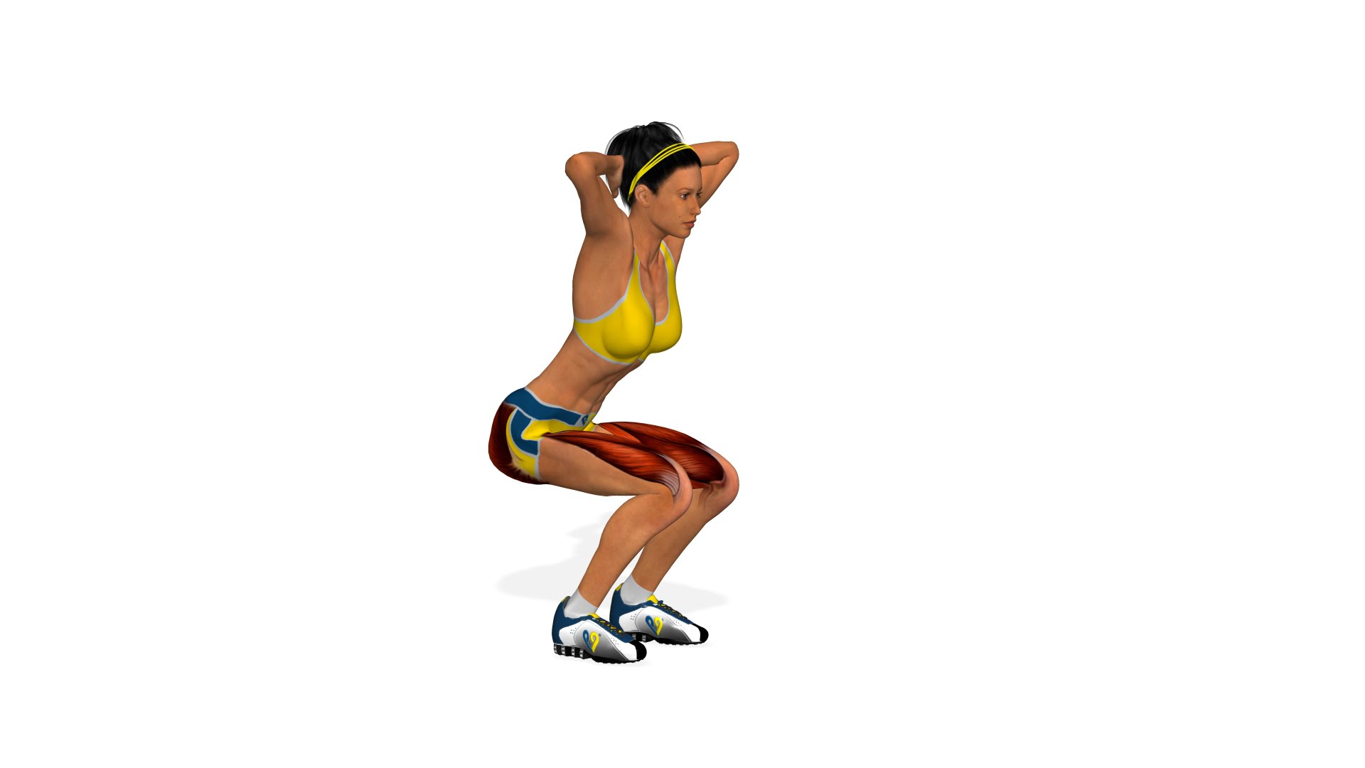 膝を痛めないスクワットの正しいやり方 ｜ swim media