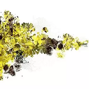 RHADOO / ラドゥー商品一覧｜LATIN/BRAZIL/WORLD MUSIC｜ディスク