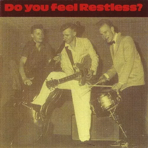 RESTLESS / レストレス商品一覧｜PUNK｜ディスクユニオン・オンライン