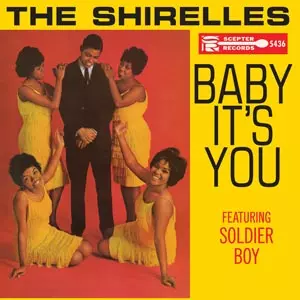 SHIRELLES / シュレルズ商品一覧｜OLD ROCK｜ディスクユニオン