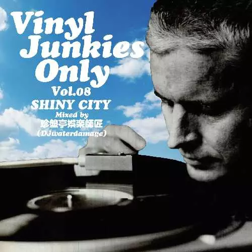 VINYL JUNKIES(JPN)商品一覧｜DU BOOKS｜ディスクユニオンの出版部門