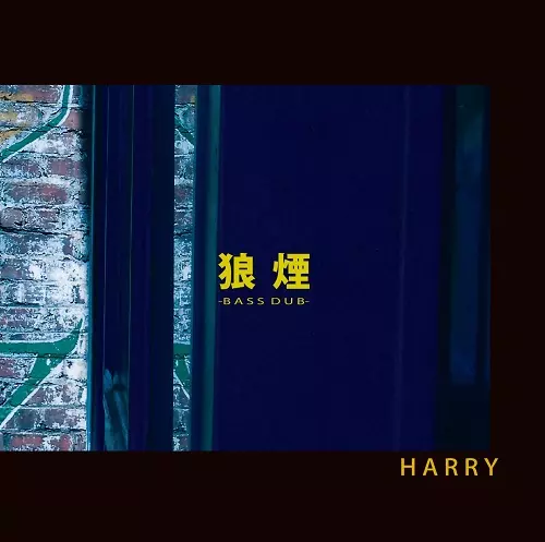 HARRY(村越弘明)商品一覧｜ディスクユニオン・オンラインショップ