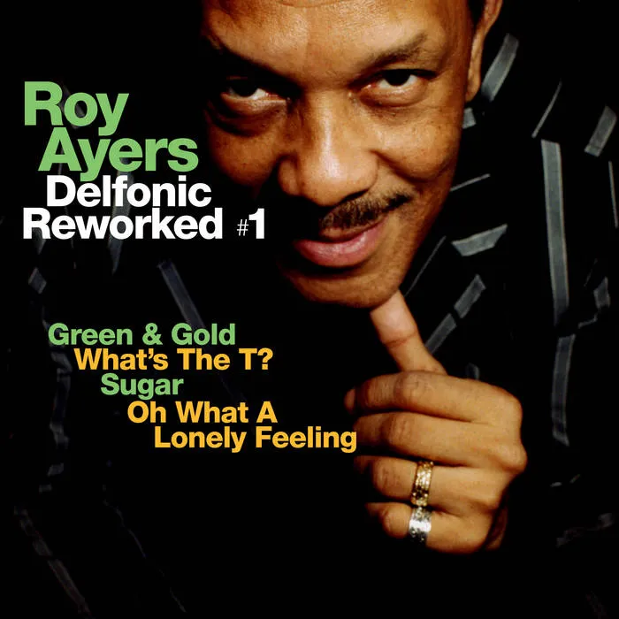 ROY AYERS DELFPNIC REWORKED #1 (12