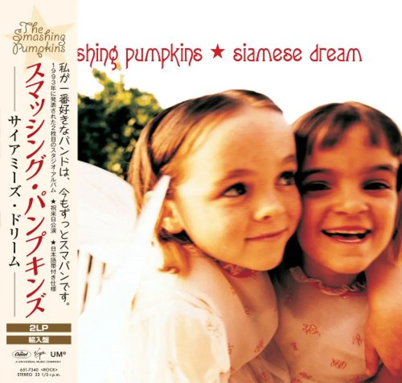 GISH (LP)/SMASHING PUMPKINS/スマッシング・パンプキンズ/1991年