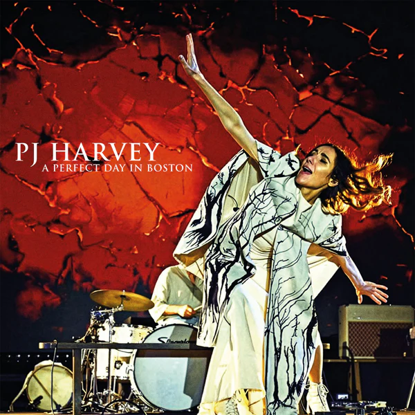 PJ HARVEY / PJ ハーヴェイ商品一覧｜ディスクユニオン・オンライン