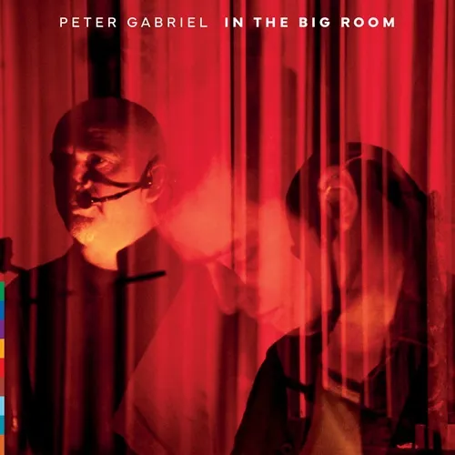 IN THE BIG ROOM/PETER GABRIEL/ピーター・ガブリエル/元GENESISの