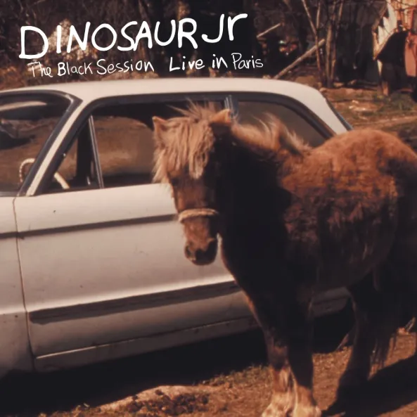 DINOSAUR JR. / ダイナソー・ジュニア商品一覧｜ディスクユニオン