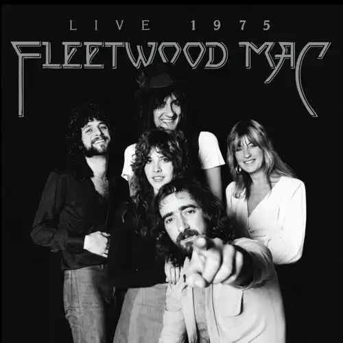TANGO IN THE NIGHT/FLEETWOOD MAC/フリートウッド・マック｜OLD ROCK