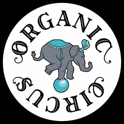 MINIMAL/TECH HOUSE｜CLUB / DANCE｜ディスクユニオン・オンライン