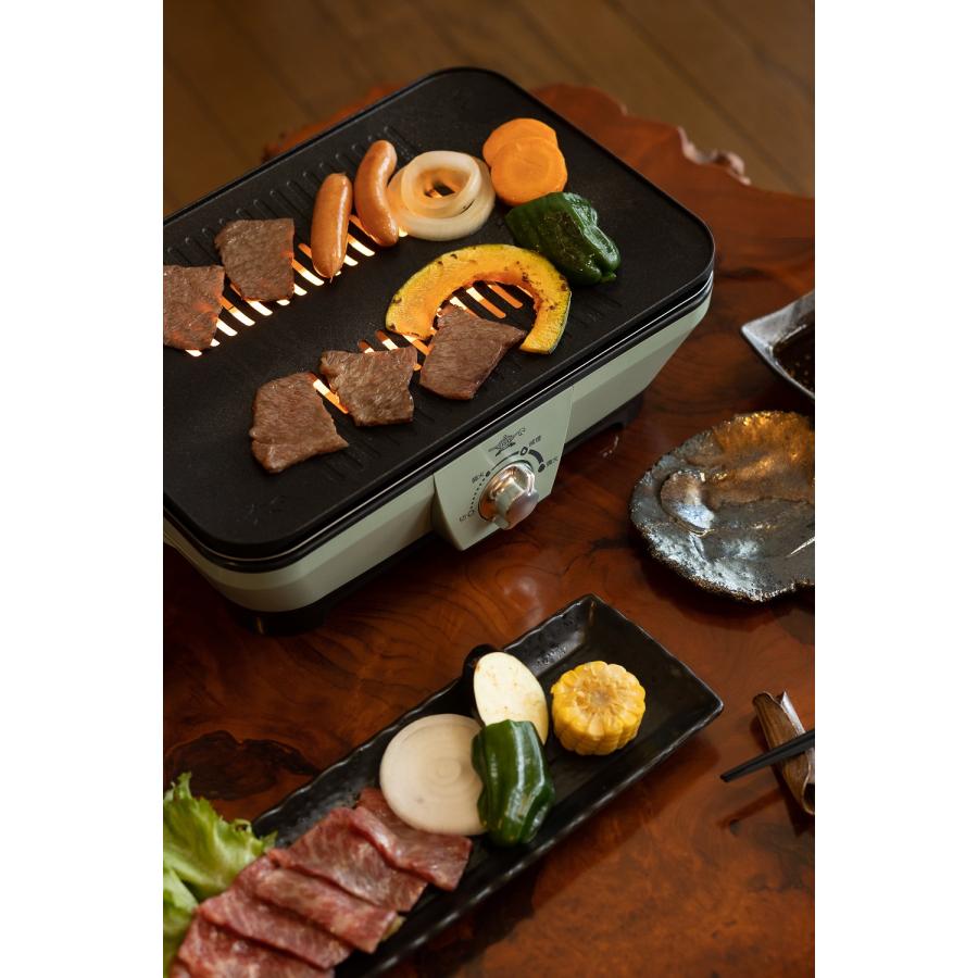 Aladdin(アラジン) グラファイトミニグリラー グリーン -の商品詳細