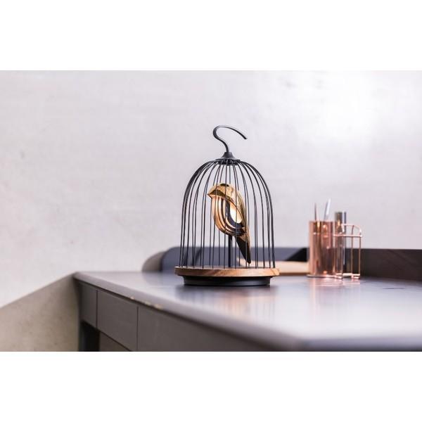 JinGoo The Phoenix ジングー フェニックス LED照明＆ワイヤレス