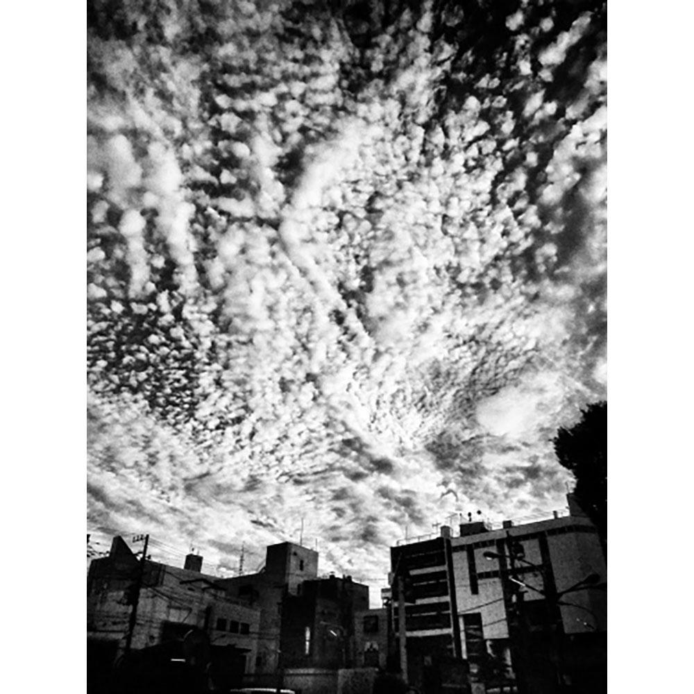 サイン入り】記録62号 森山大道 写真集 -の商品詳細 | 蔦屋書店