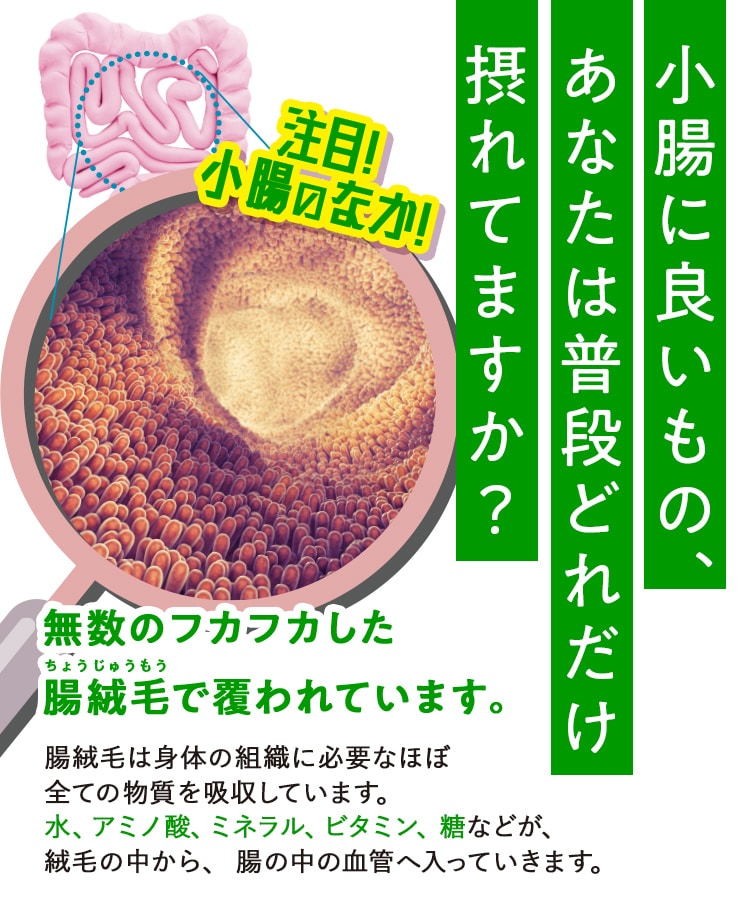 定期購入キャンペーン】LAVA BRM1.3［1箱コース：20％OFF］(50包／箱