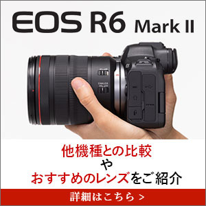キヤノン ミラーレスカメラ EOS R6 Mark II 購入ページ｜キヤノン