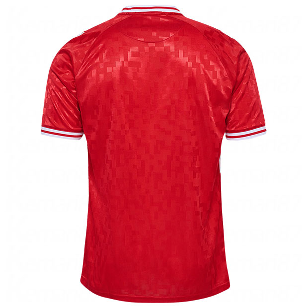 デンマーク代表 2024 ホーム 半袖レプリカユニフォーム | ゲキサカFCストア