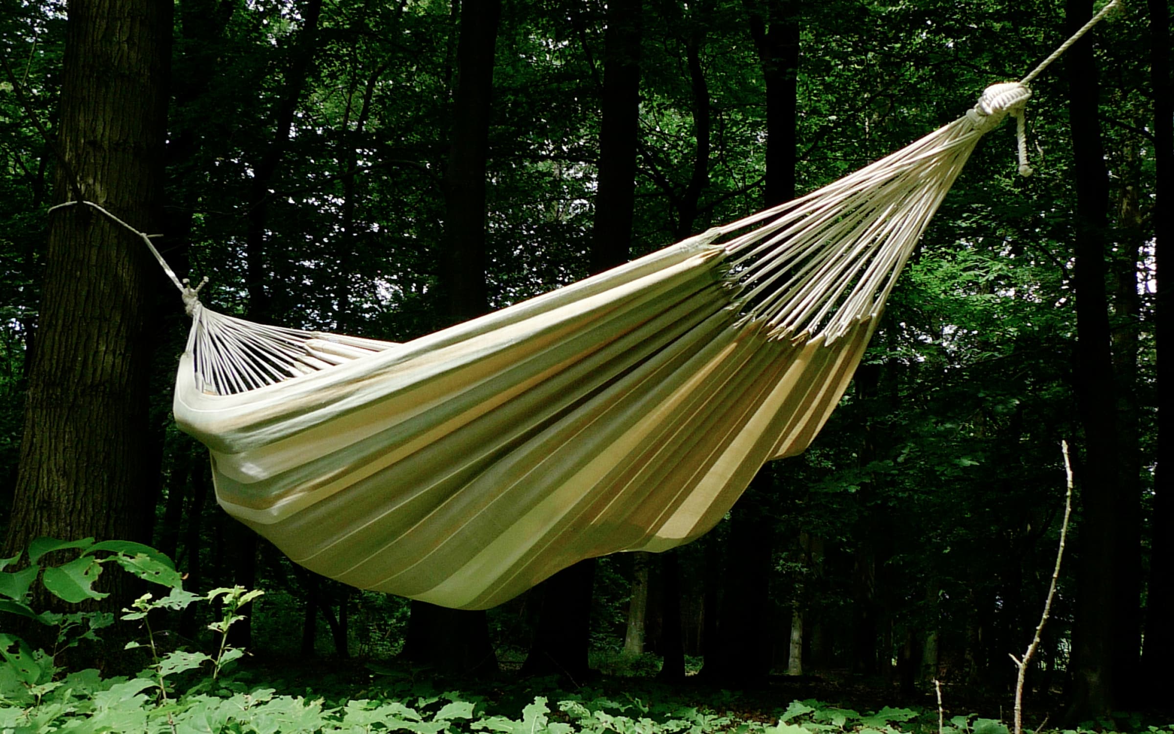 Brazilian Hammock – Hammock2000