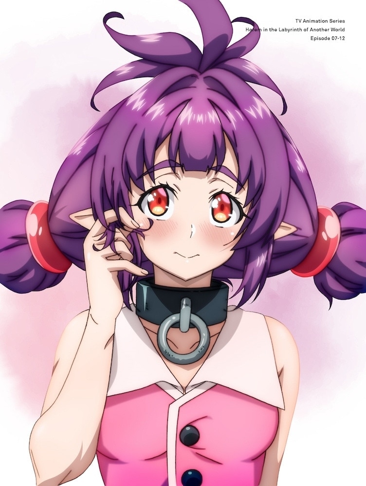 異世界迷宮でハーレムを Blu-ray BOX 下巻: BD・DVD・CD | カドスト