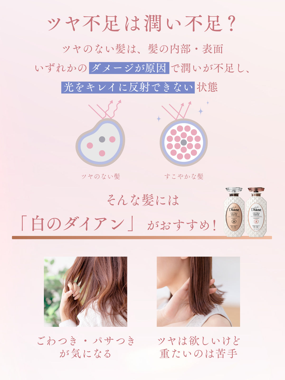 shiro_05_1080x.jpg?v=1764858730