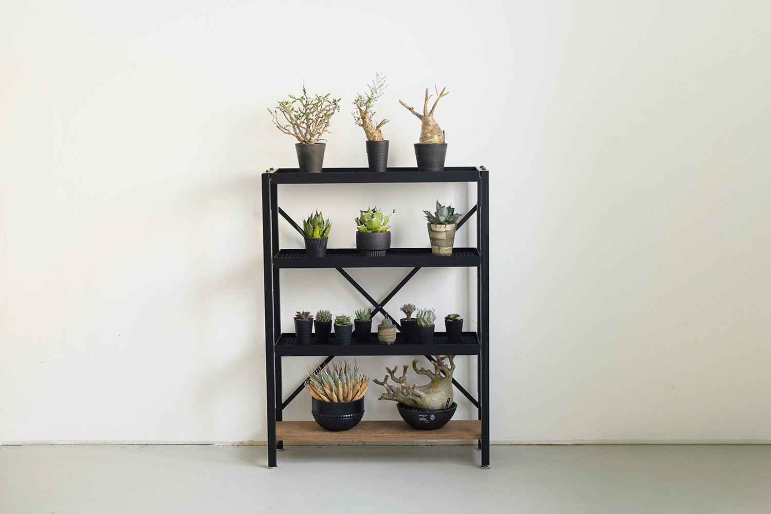 ボタニカルラック | アイアン家具通販 SULK