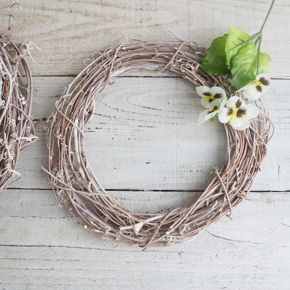 大地農園/ライトリース・サンキライ15cm 5個 ウォッシュホワイト/75241