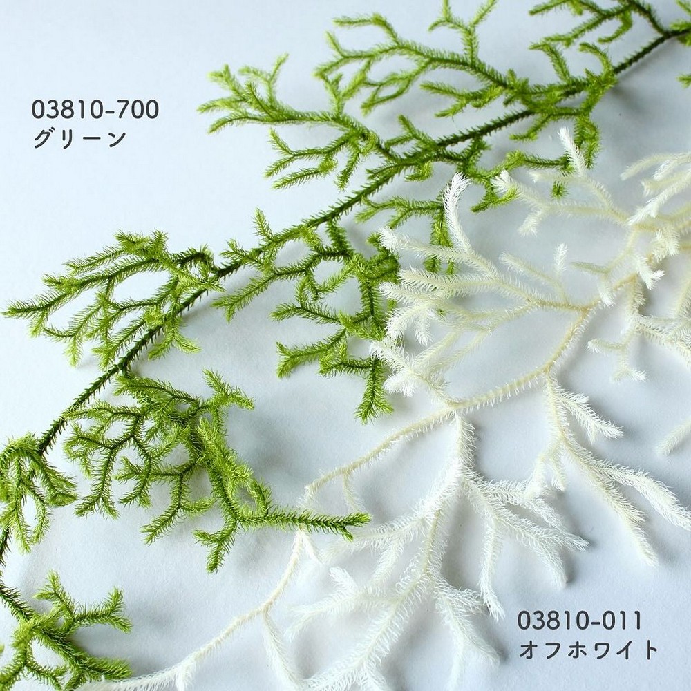 即日☆【プリザーブド】大地農園/ヒカゲノカズラ 2本 オフホワイト