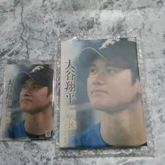 2026年最新】大谷翔平 二刀流 ファイターズ・5年間の軌跡 DVDの人気