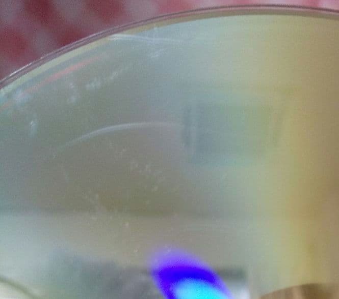 どんど晴れ 完全版 全巻セット