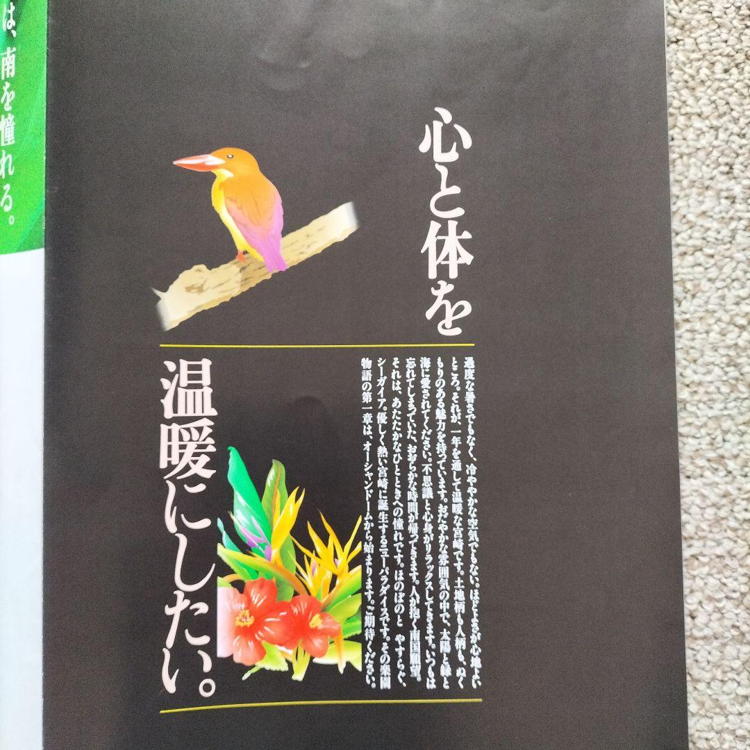 超貴重、レア、キズ無し宮崎シーガイアグランドオープン時の チラシ