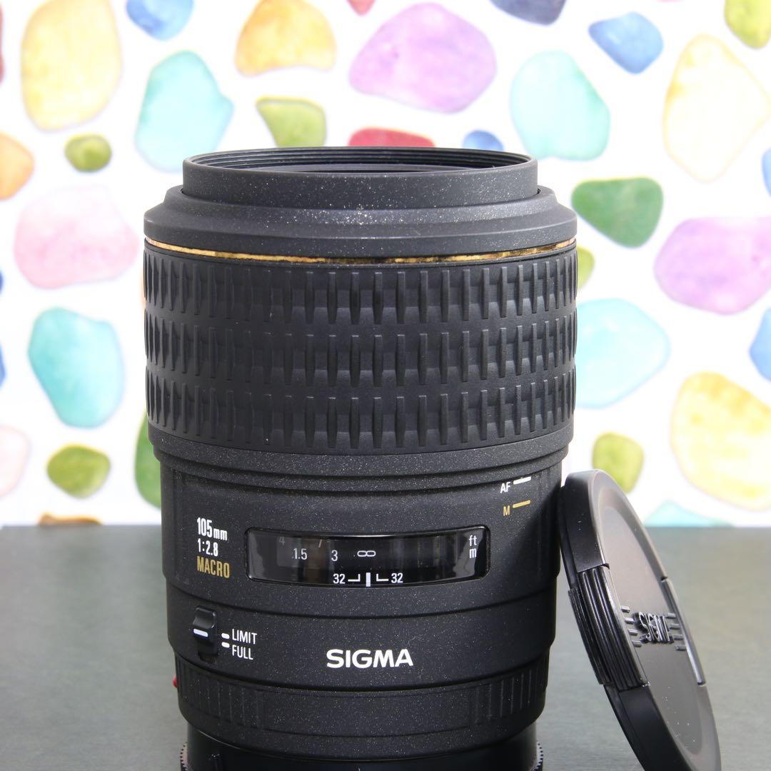 ♥︎◇高性能単焦点レンズ♪ ◇SIGMA 105mm F2.8 SONY 105mm F2.8 DG DN MACRO | Art / ソニー E マウント用: 交換レンズ