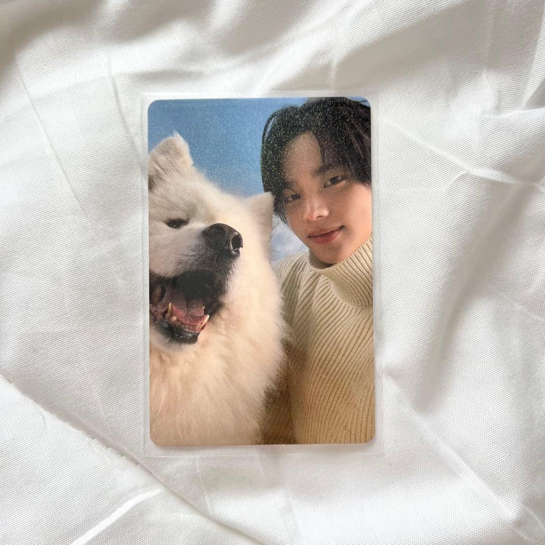 TWS シニュ last bell トレカ weversejp 特典 - メルカリ