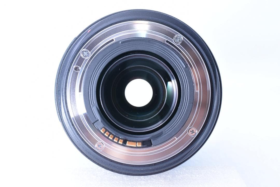 手振補正❄キヤノン EF 70-300mm F4.5-5.6 DO IS USM