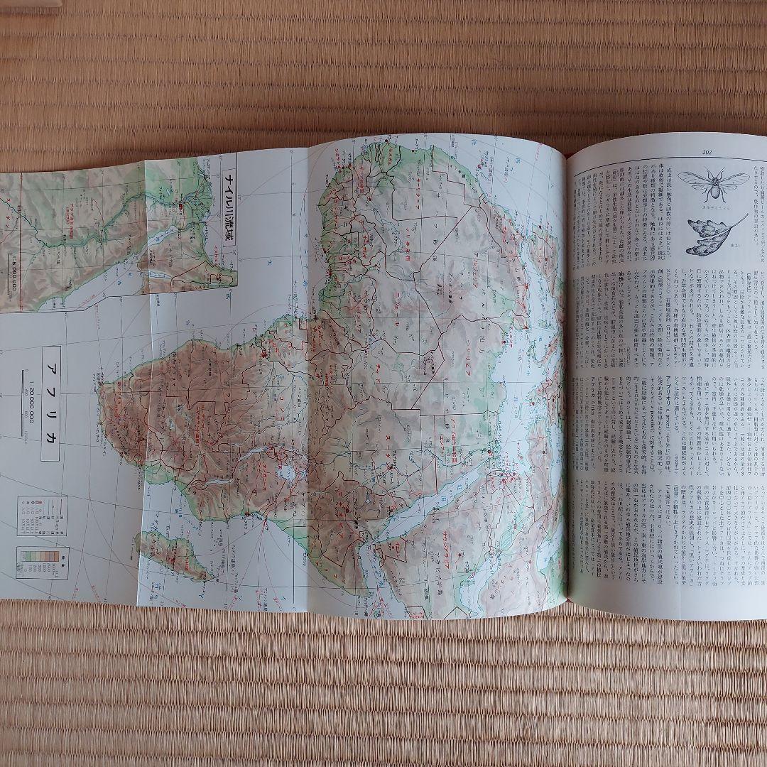 日本百科大事典」（1962年 小学館）全13巻 - メルカリ