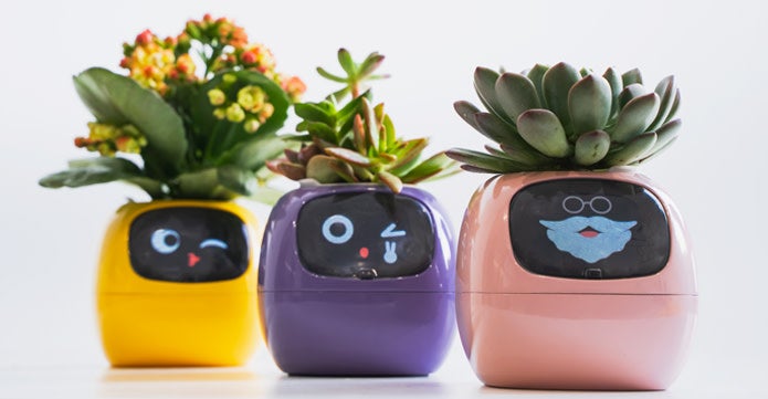 まるでペットみたい！？に植物を育成！植物の気持ちが見れるAI